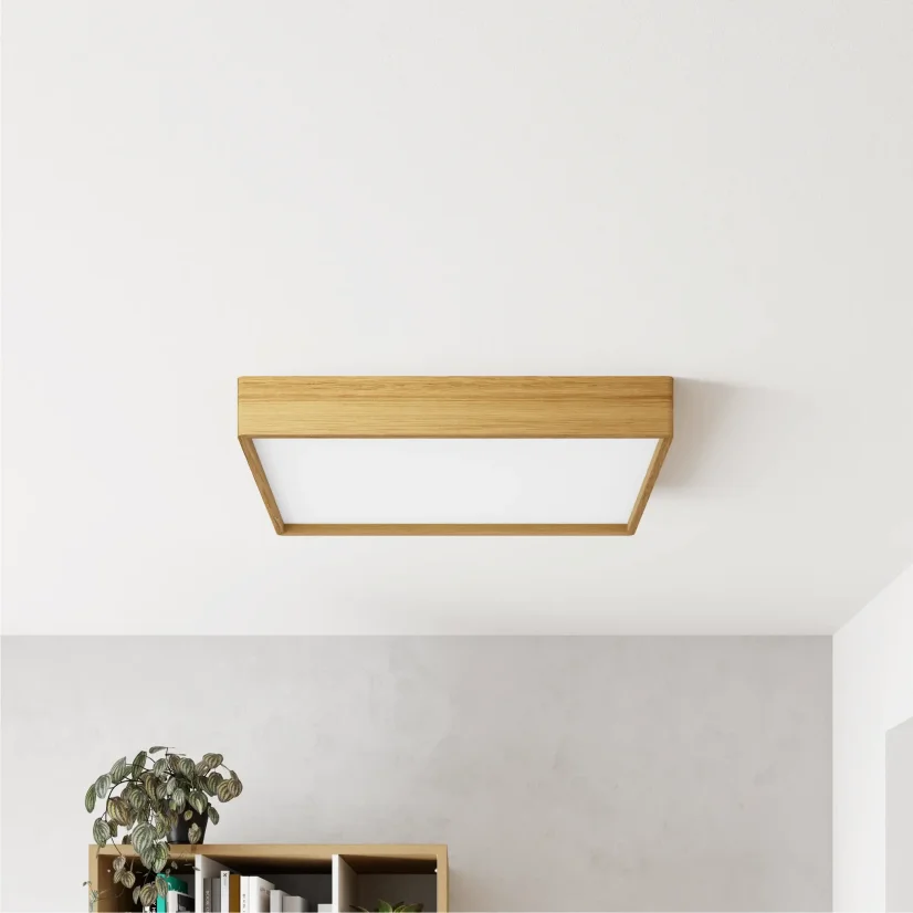Stropní LED svítidlo BLOKK 60x30 cm – minimalistický design