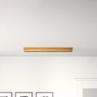 Dřevěná stropní světla LINNA